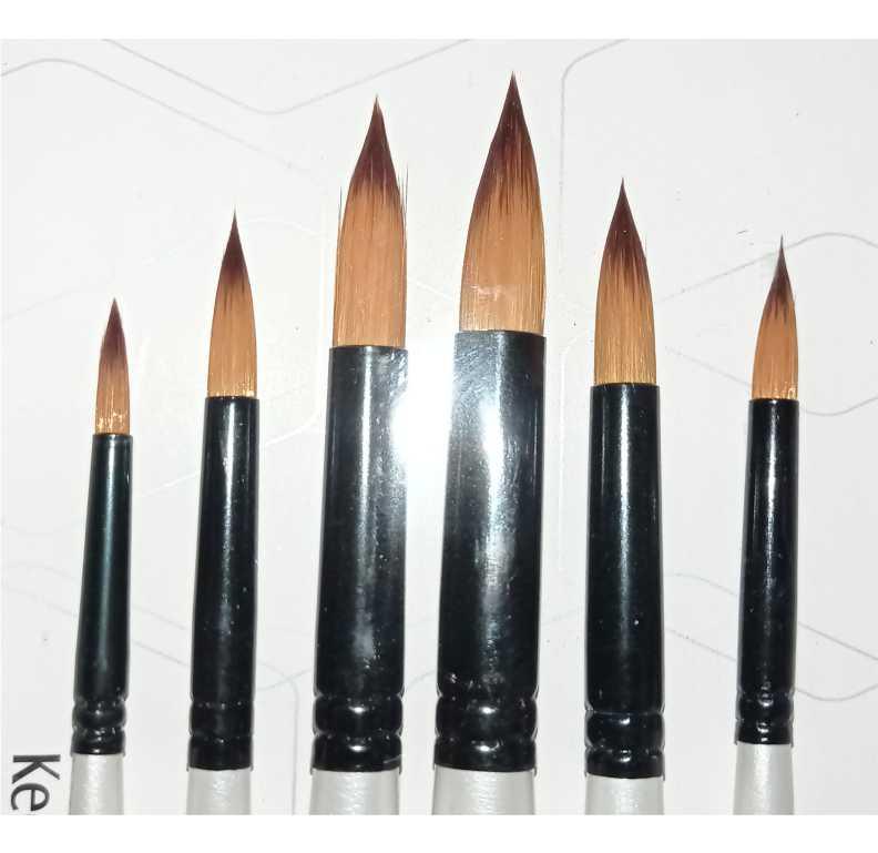 6Pcs Artist Paint Brush Set Nylon Bristles Brushes for Watercolor Acrylic Oil Painting - Image 5